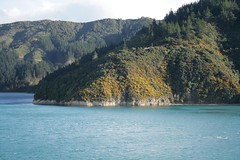 the Marlborough Sounds